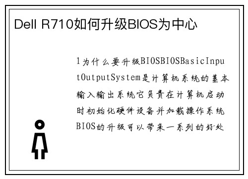Dell R710如何升级BIOS为中心